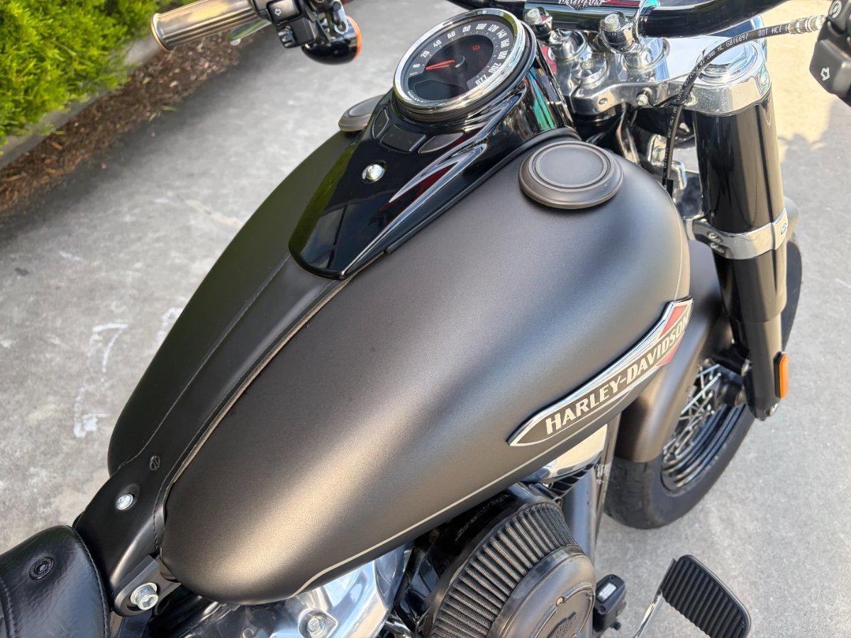 2021 HARLEY-DAVIDSON FLSL SOFTAIL SLIM (107) CRUISER