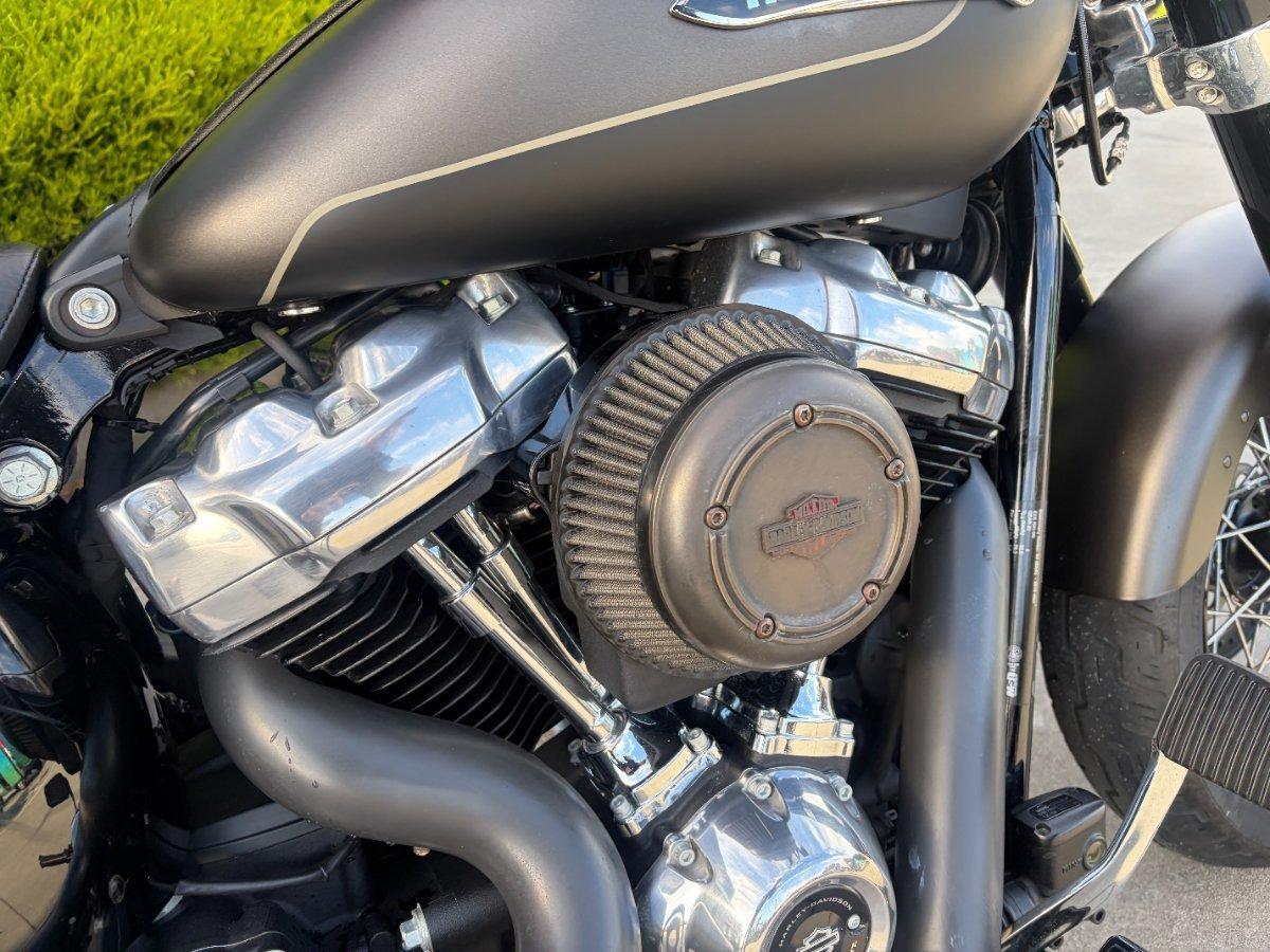 2021 HARLEY-DAVIDSON FLSL SOFTAIL SLIM (107) CRUISER