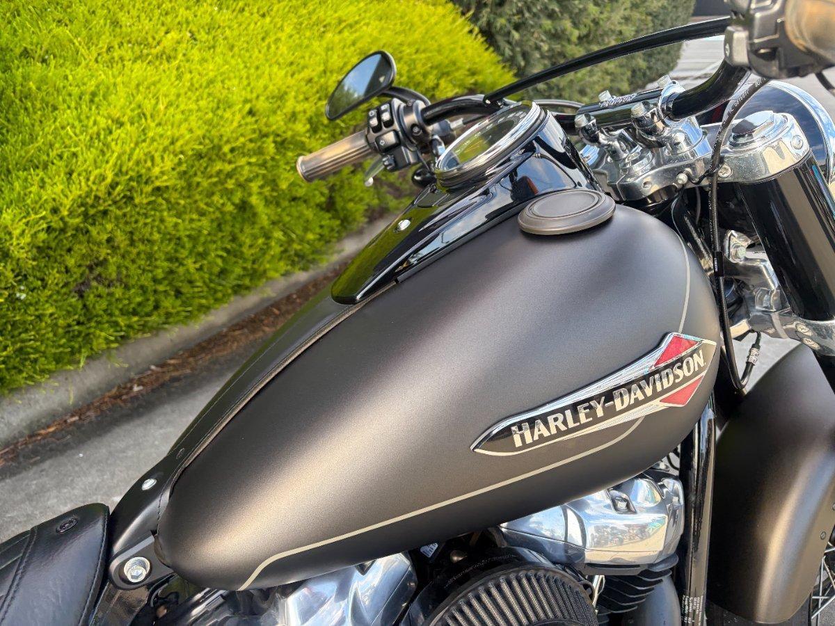 2021 HARLEY-DAVIDSON FLSL SOFTAIL SLIM (107) CRUISER