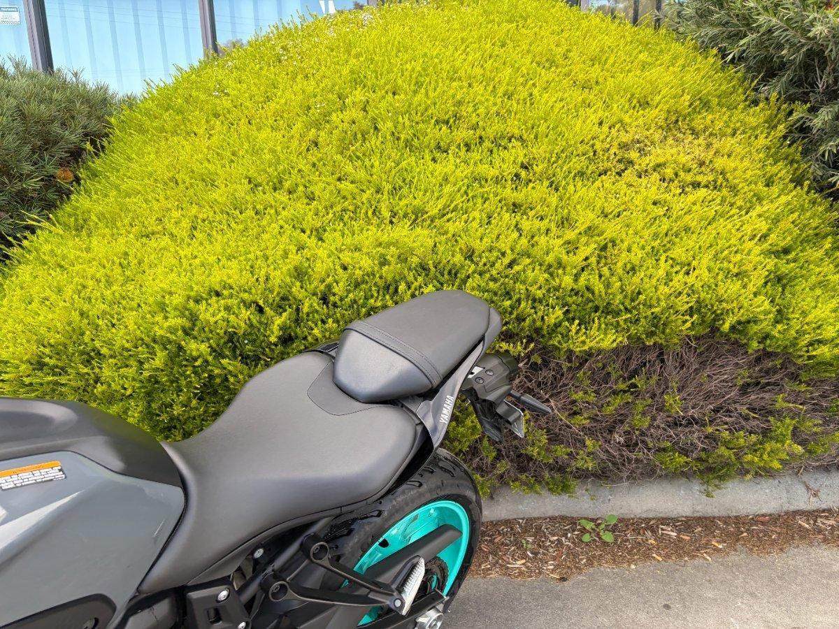 2022 YAMAHA MT-07 LA (ABS) ROAD