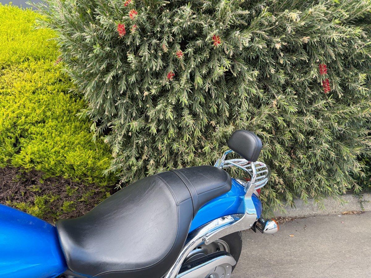 2010 KAWASAKI VULCAN 900 CUSTOM CRUISER