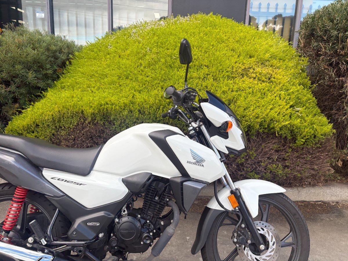 2023 HONDA CB125F (CBF125) ROAD