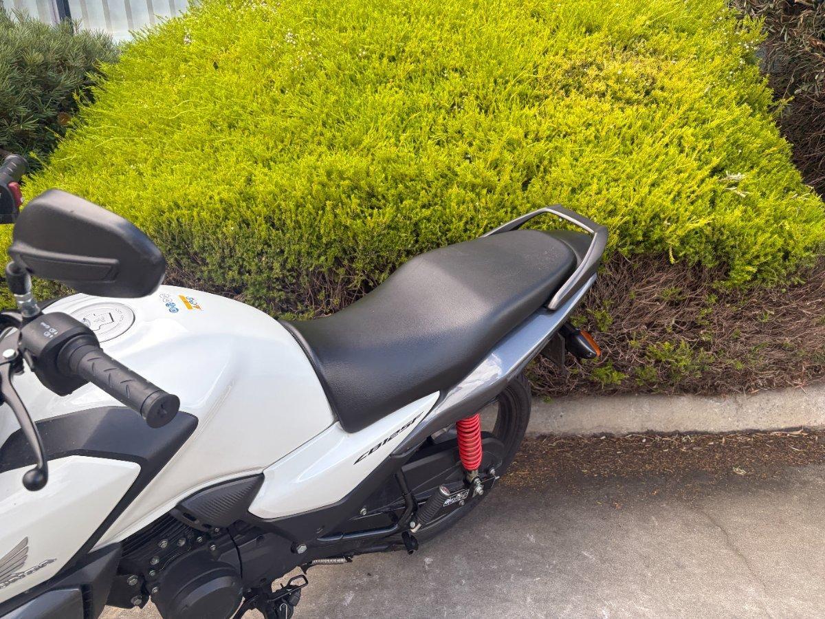 2023 HONDA CB125F (CBF125) ROAD