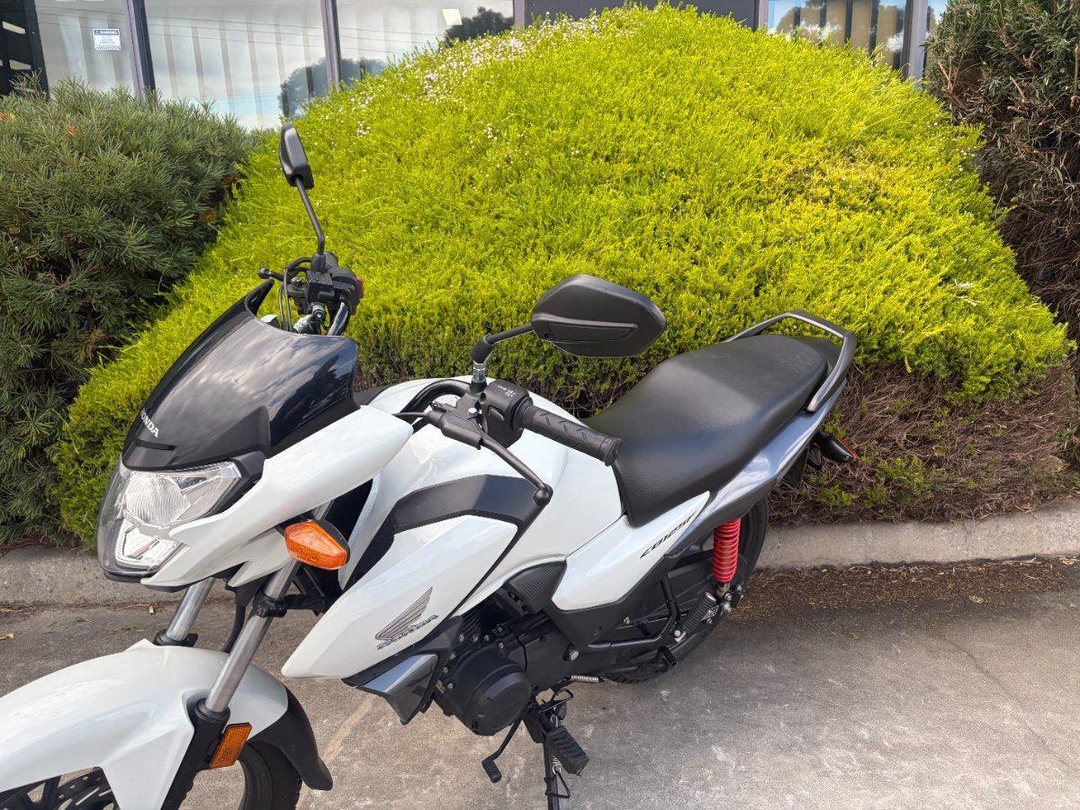 2023 HONDA CB125F (CBF125) ROAD