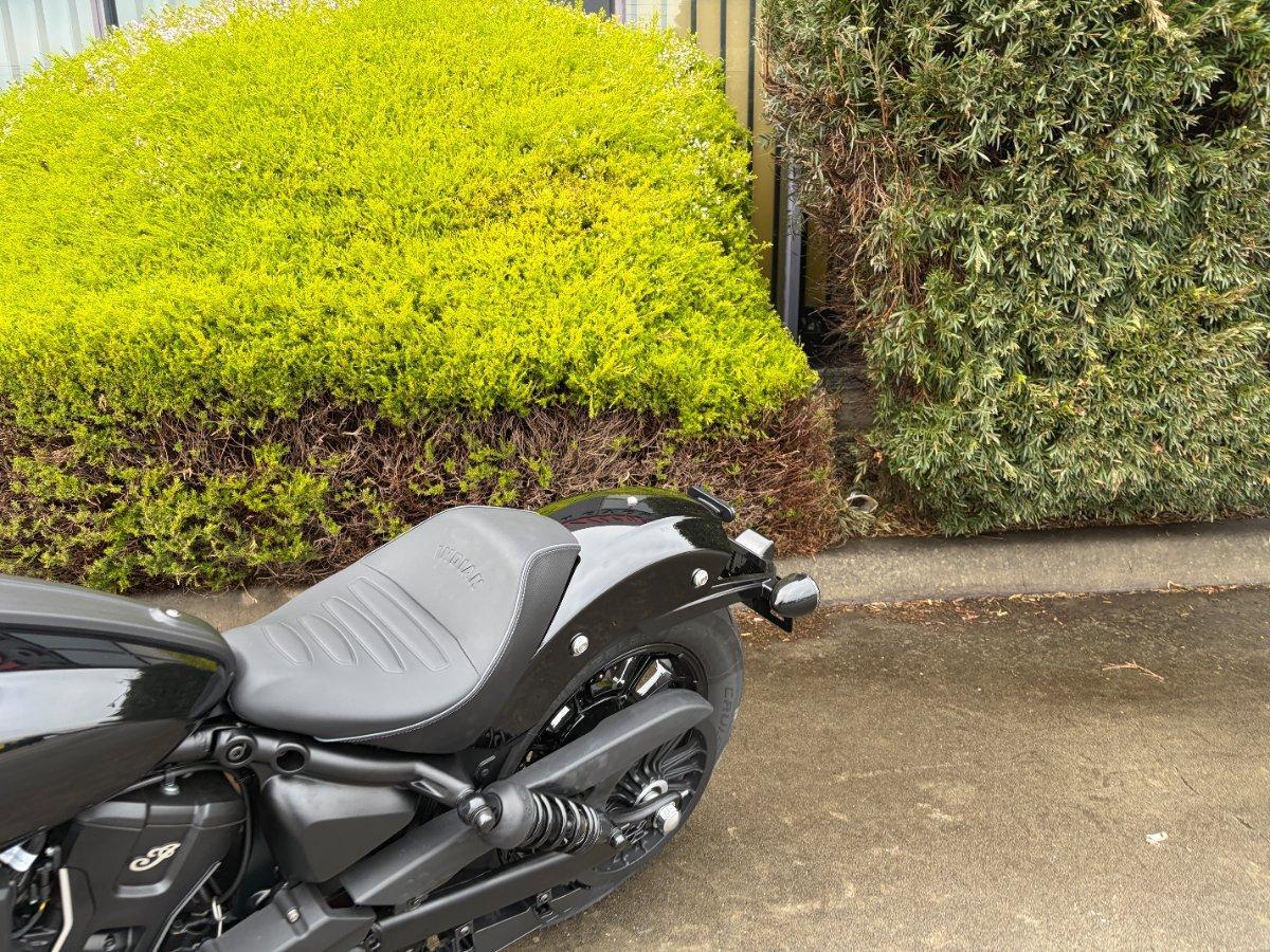 2025 INDIAN SCOUT SPORT CRUISER
