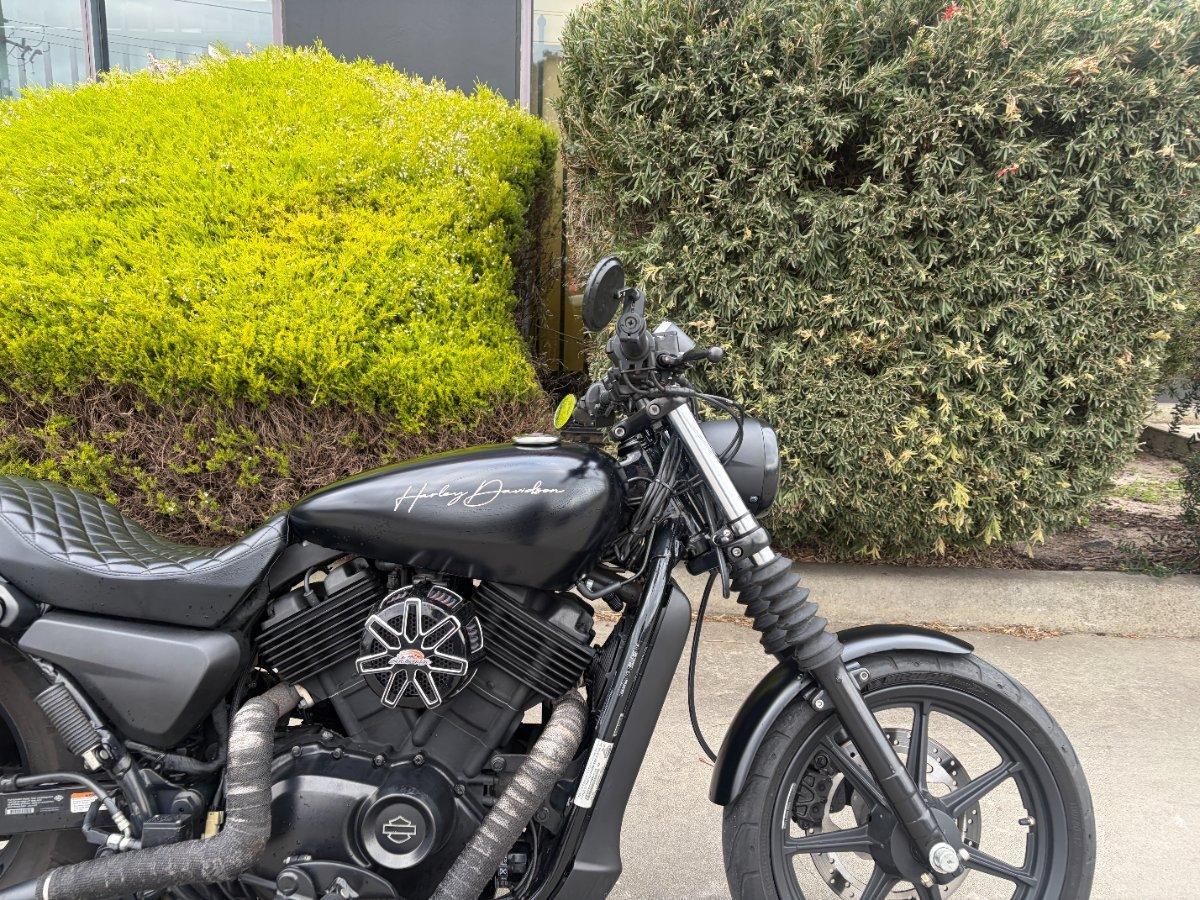 2015 HARLEY-DAVIDSON STREET 500 (LAMS) CRUISER