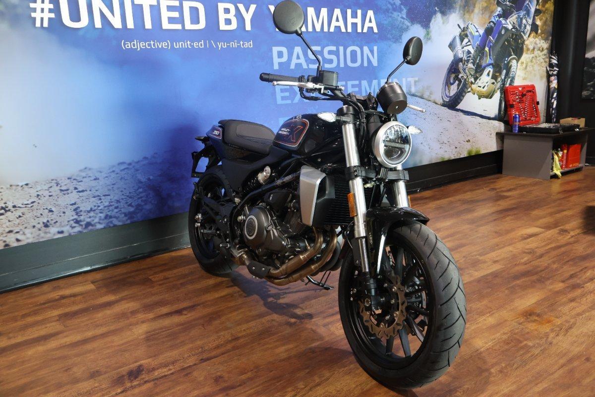 2024 HARLEY-DAVIDSON HD350-10 H-DX X350 CRUISER