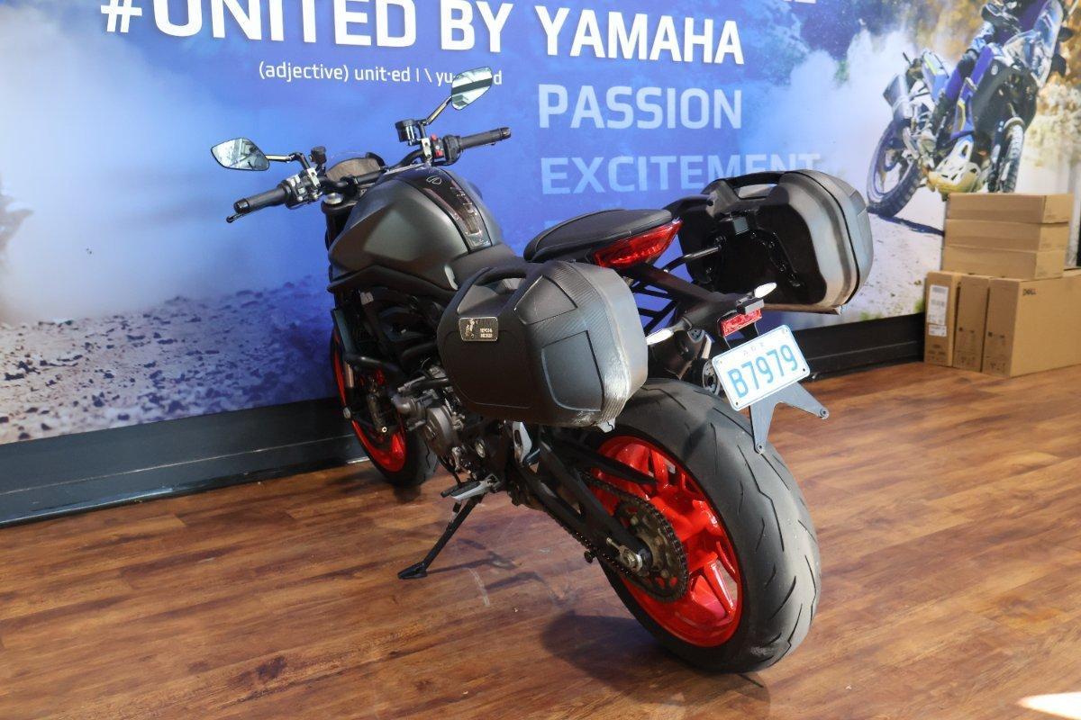 2023 DUCATI MONSTER + ROAD