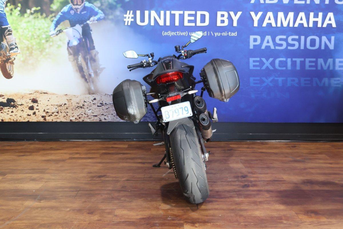 2023 DUCATI MONSTER + ROAD