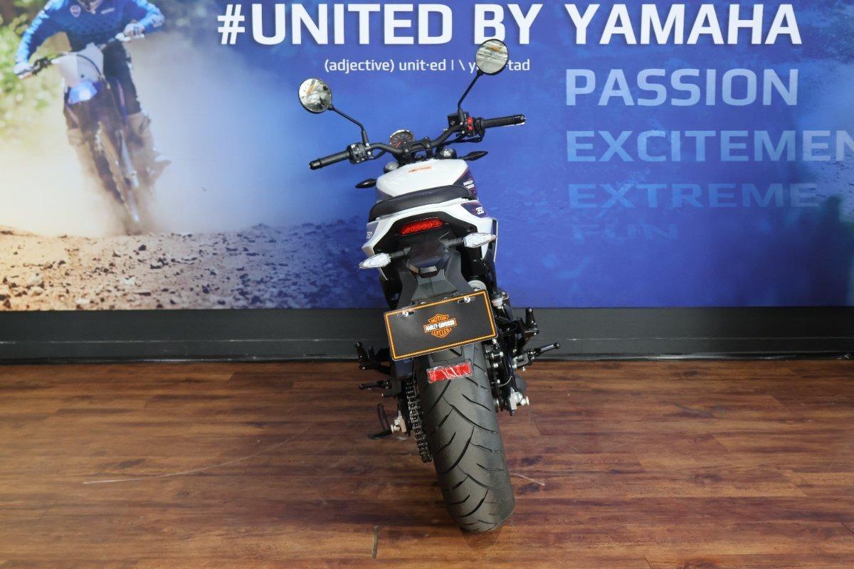 2024 HARLEY-DAVIDSON HD350-10 H-DX X350 CRUISER
