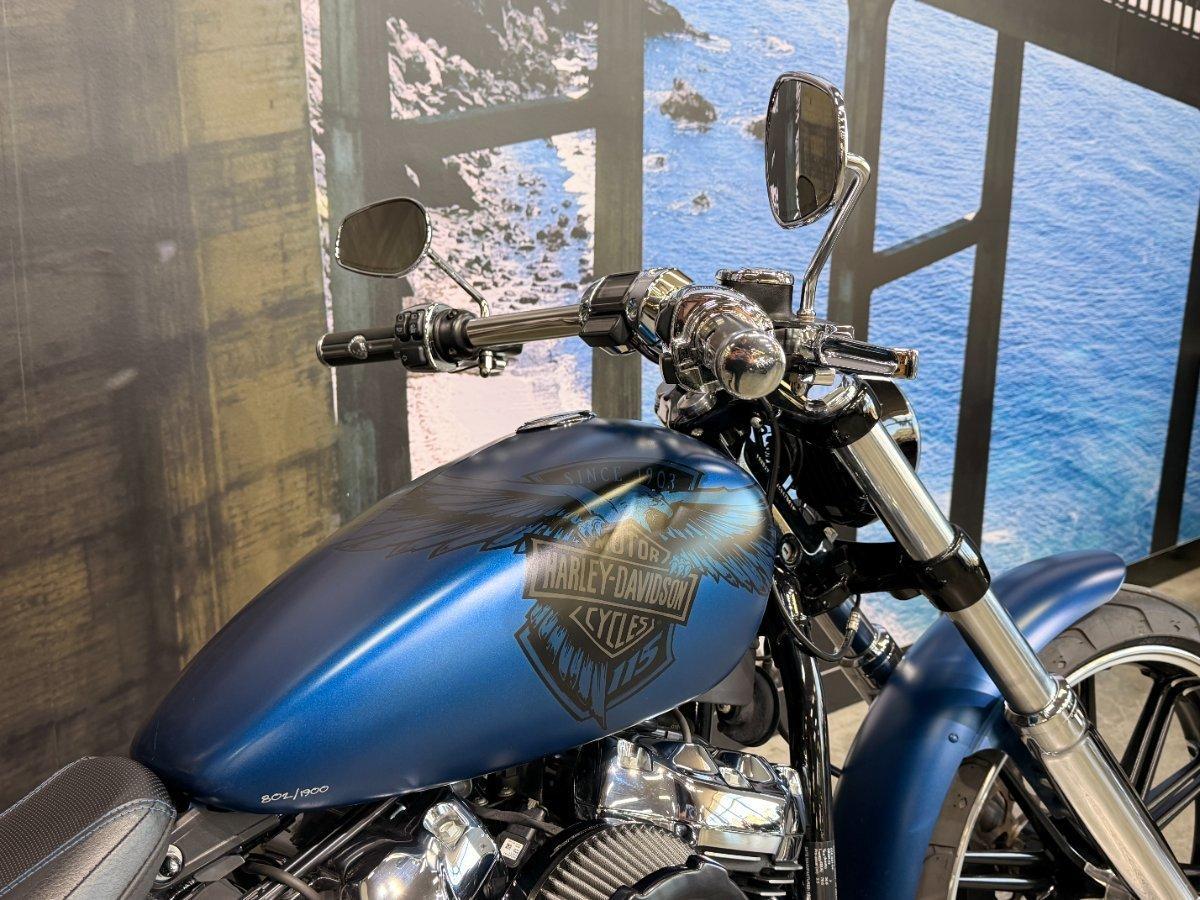 2018 HARLEY-DAVIDSON FXBRS ANX BREAKOUT ANNIVERSARY CRUISER