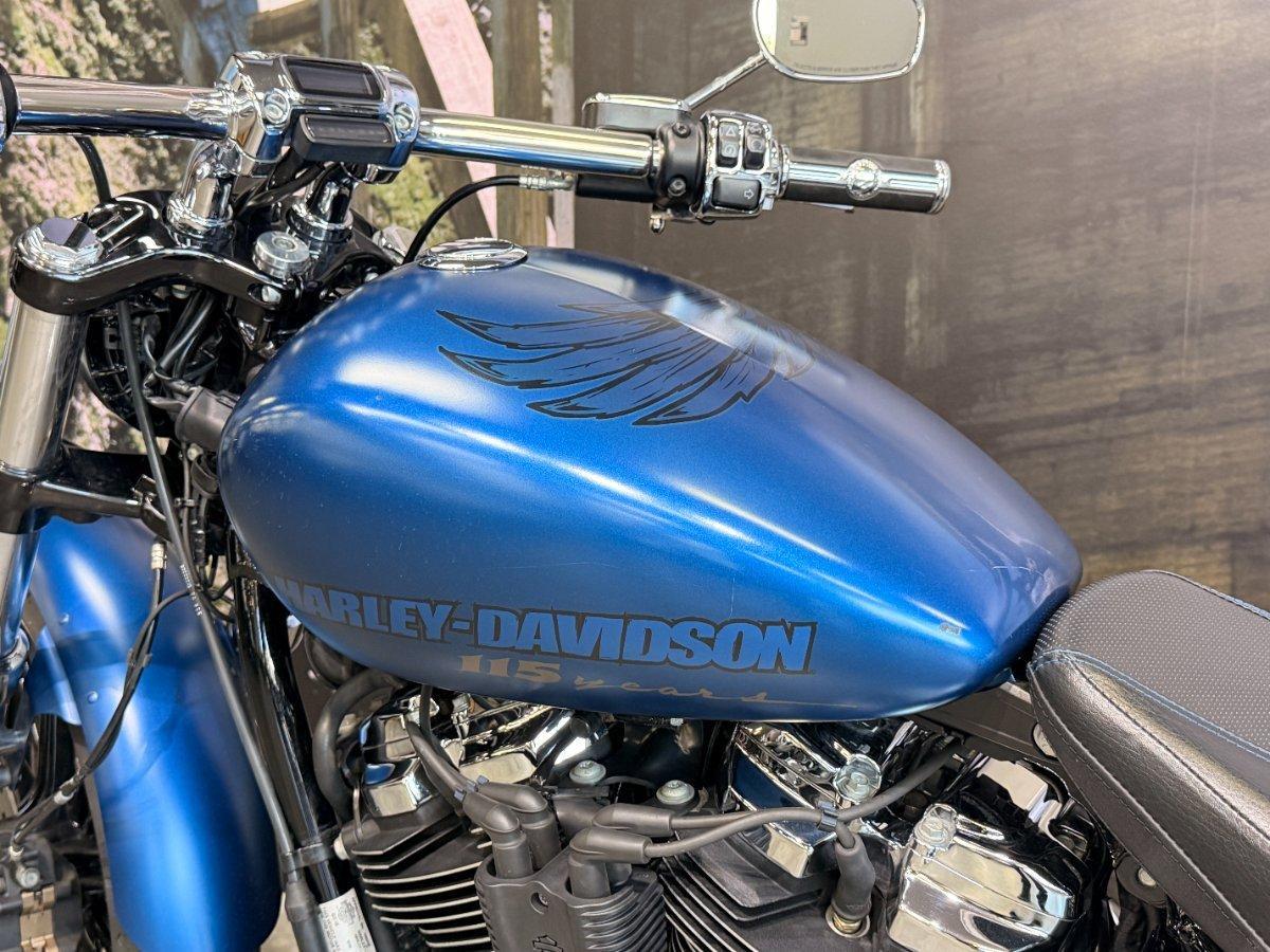 2018 HARLEY-DAVIDSON FXBRS ANX BREAKOUT ANNIVERSARY CRUISER