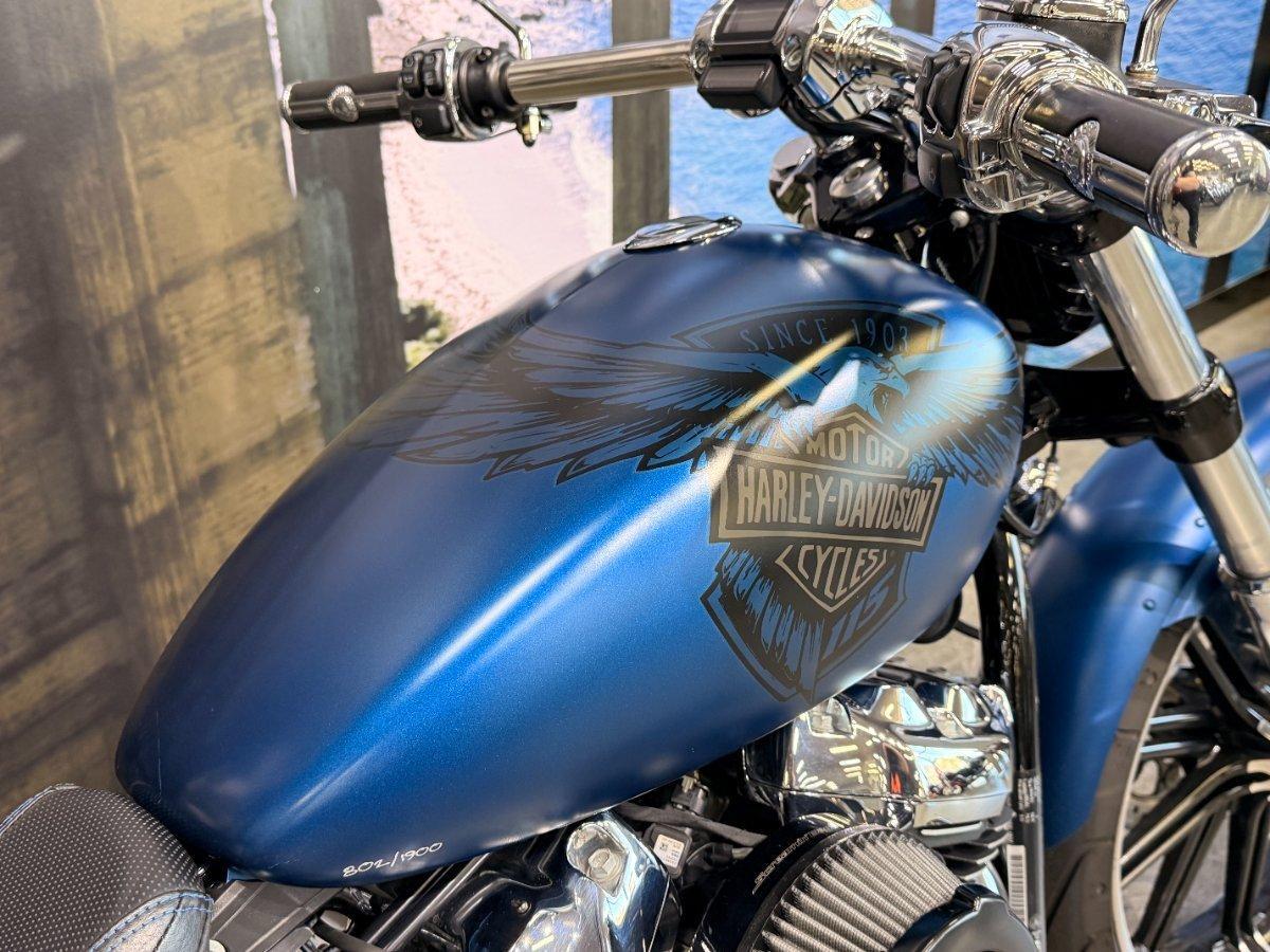 2018 HARLEY-DAVIDSON FXBRS ANX BREAKOUT ANNIVERSARY CRUISER