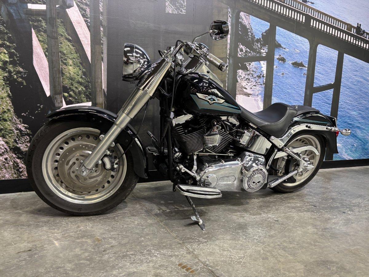 2008 HARLEY-DAVIDSON FLSTF FAT BOY CRUISER
