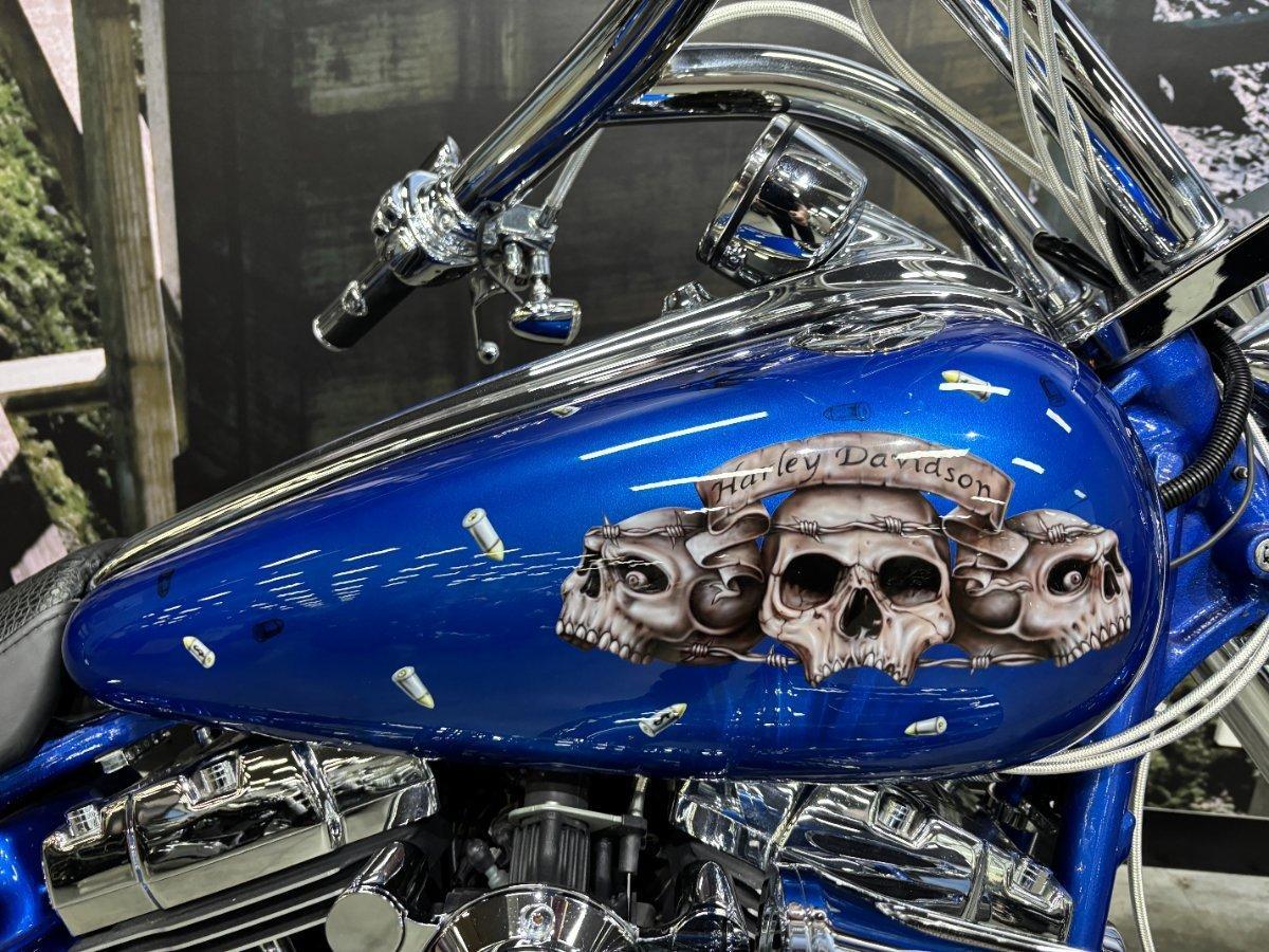 2009 HARLEY-DAVIDSON FXCWC ROCKER C CRUISER