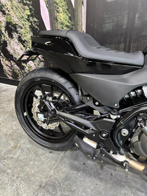 2024 HARLEY-DAVIDSON HD350-10 H-DX X350 CRUISER
