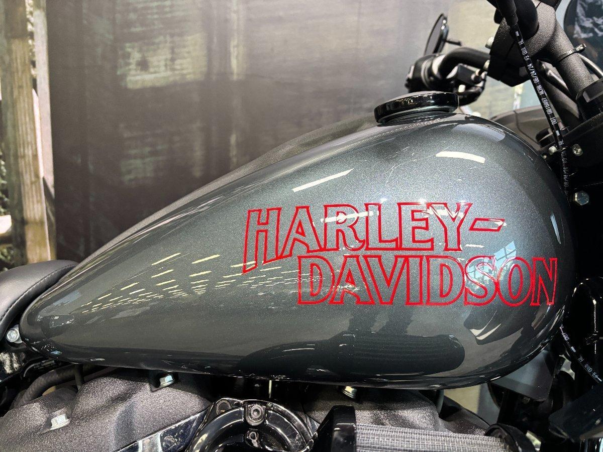 2025 HARLEY-DAVIDSON FXLRST LOW RIDER ST (117) CRUISER