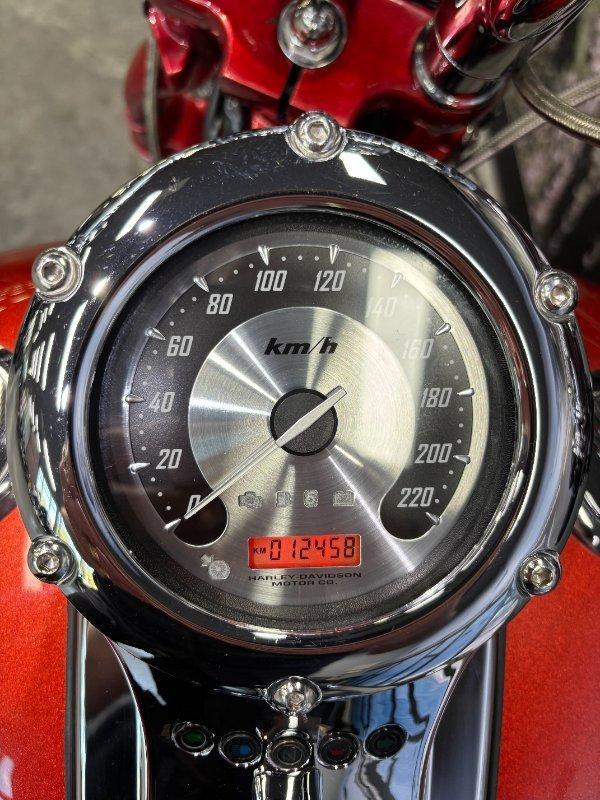 2007 HARLEY-DAVIDSON FXSTSSE S/EAGLE SPRINGER CRUISER