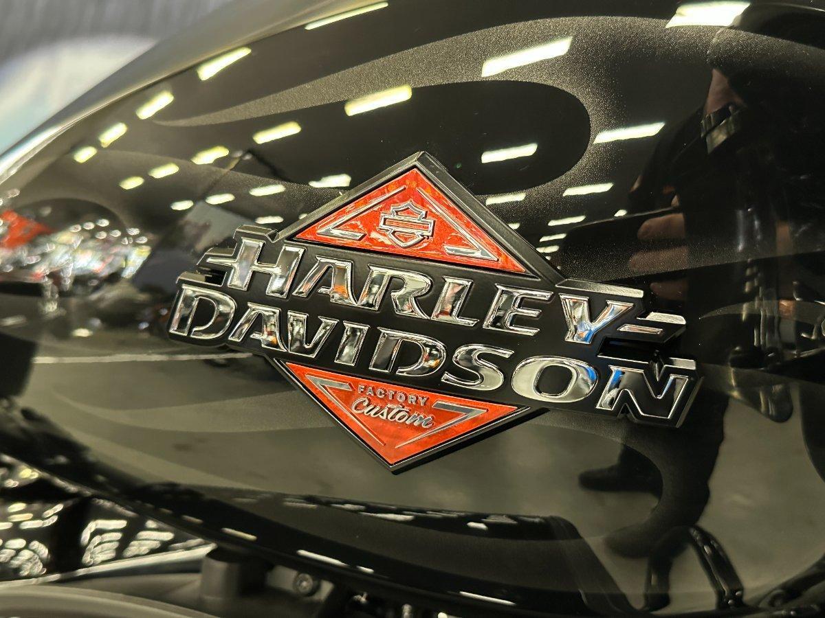 2025 HARLEY-DAVIDSON FLTRX ROAD GLIDE (117) TOURER