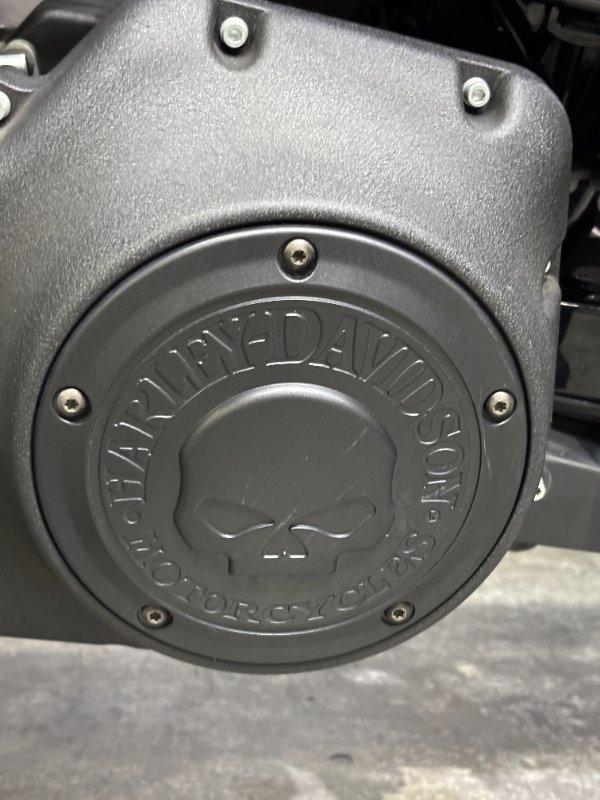 2017 HARLEY-DAVIDSON FXDLS LOW RIDER S CRUISER