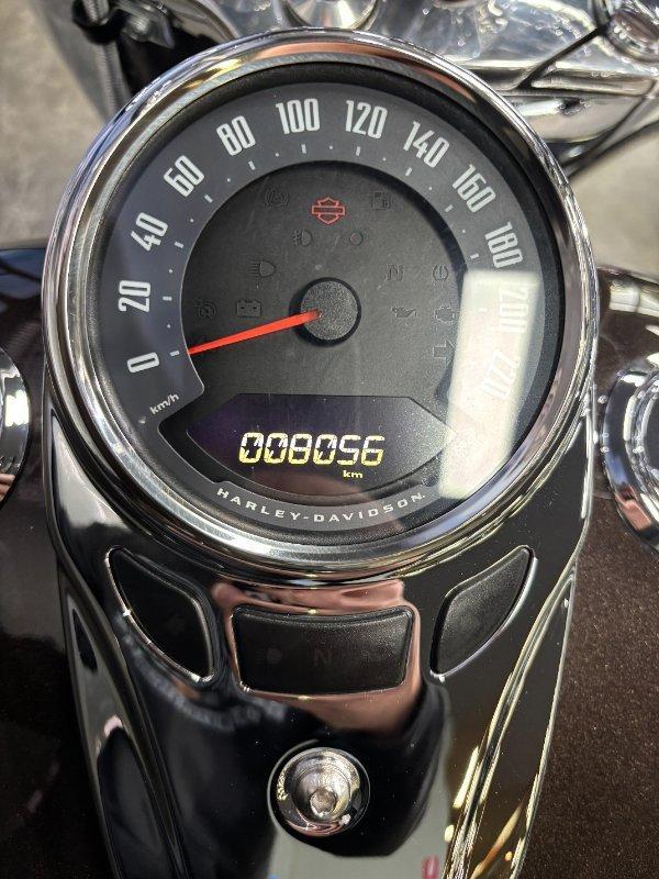2018 HARLEY-DAVIDSON FLDE DELUXE (107) CRUISER