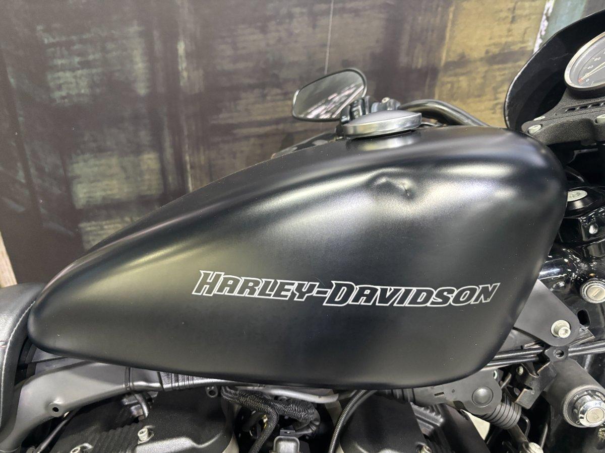 2010 HARLEY-DAVIDSON XL883N IRON 883 CRUISER