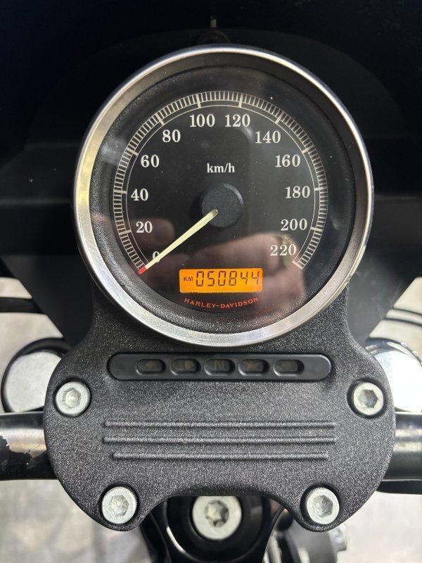 2010 HARLEY-DAVIDSON XL883N IRON 883 CRUISER