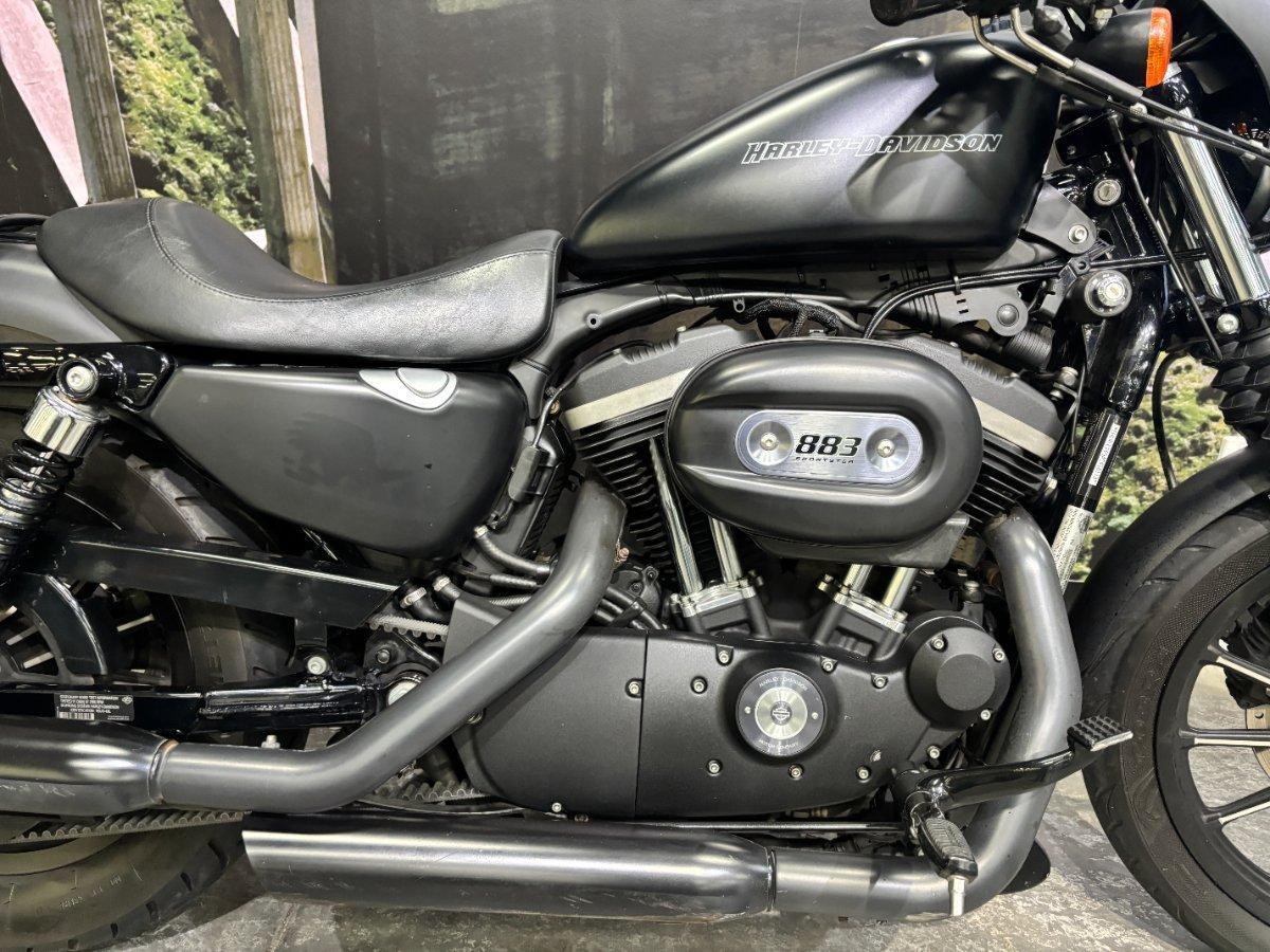 2010 HARLEY-DAVIDSON XL883N IRON 883 CRUISER