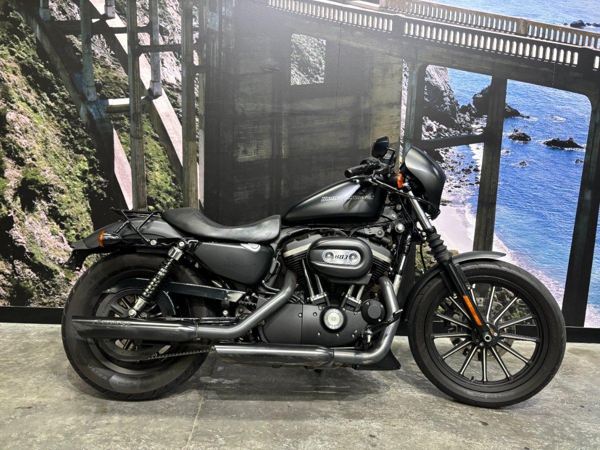2010 HARLEY-DAVIDSON XL883N IRON 883 CRUISER