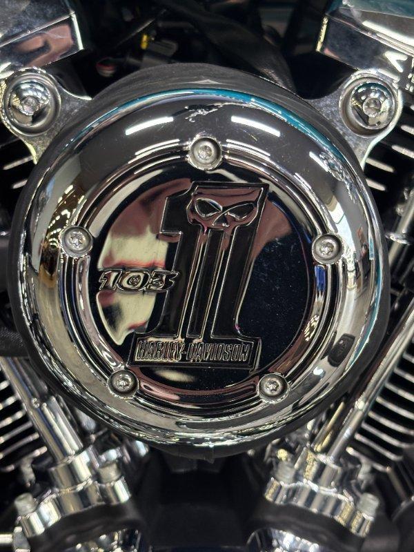 2016 HARLEY-DAVIDSON FLSTN SOFTAIL DELUXE CRUISER