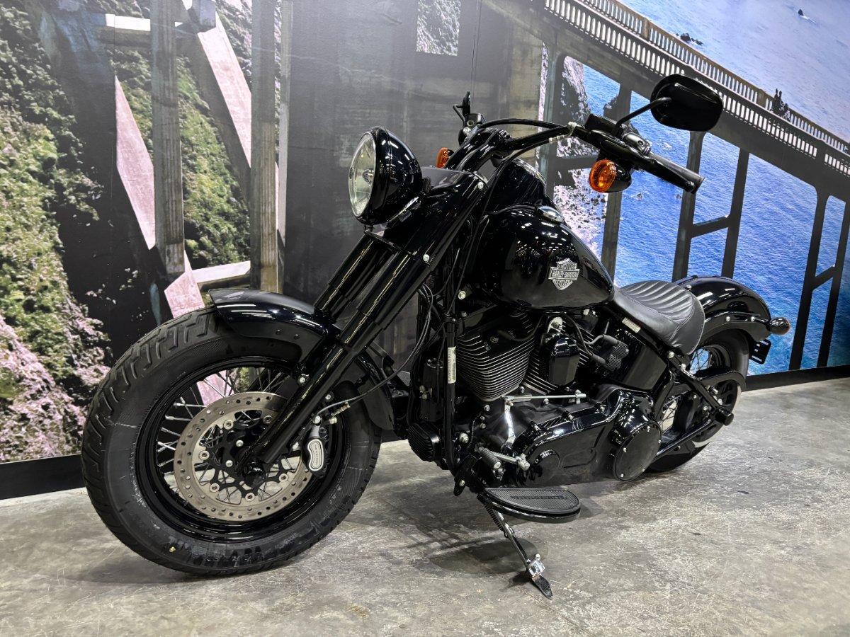 2017 HARLEY-DAVIDSON FLSS SOFTAIL SLIM S CRUISER