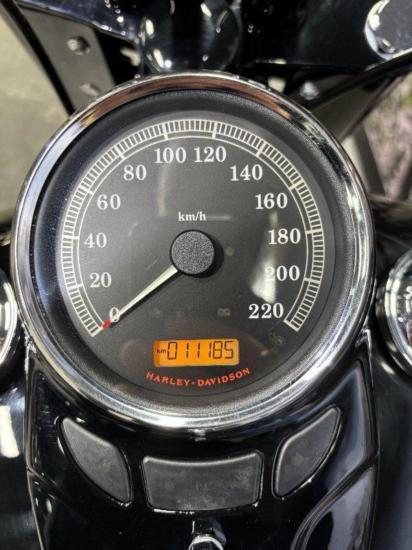 2017 HARLEY-DAVIDSON FLSS SOFTAIL SLIM S CRUISER