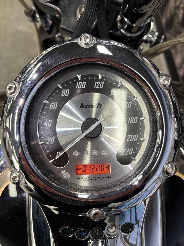 2008 HARLEY-DAVIDSON FXSTSSE S/EAGLE SPRINGER CRUISER