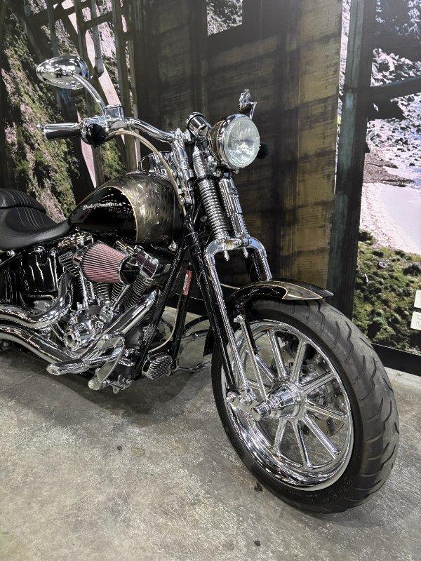 2008 HARLEY-DAVIDSON FXSTSSE S/EAGLE SPRINGER CRUISER
