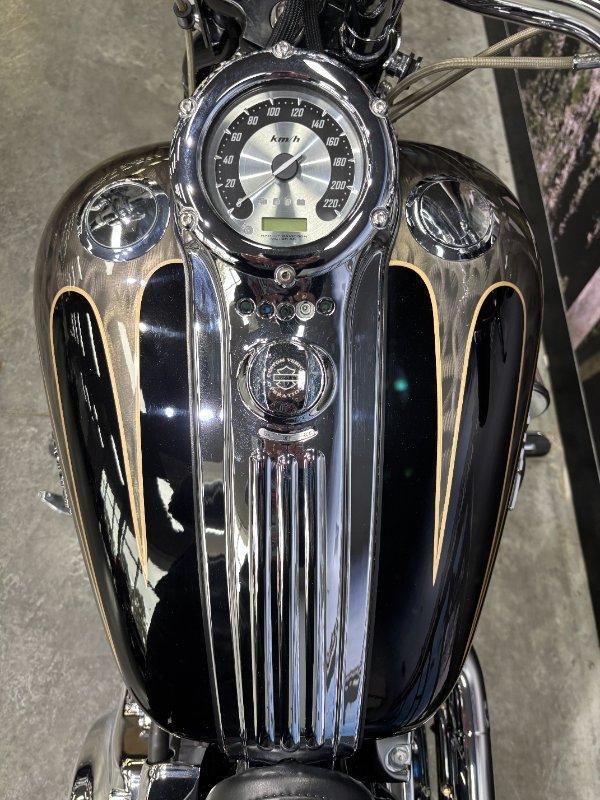 2008 HARLEY-DAVIDSON FXSTSSE S/EAGLE SPRINGER CRUISER