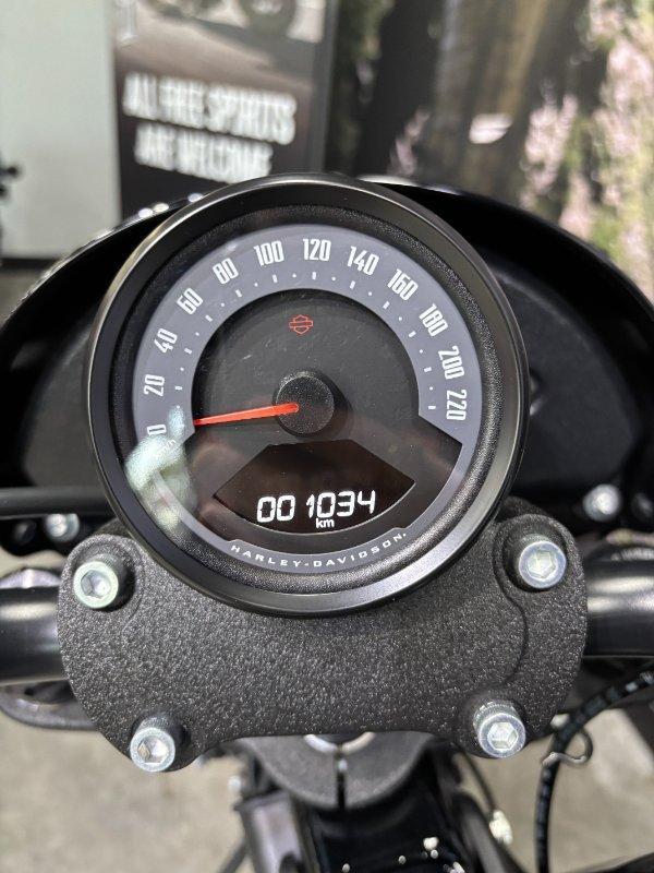 2025 HARLEY-DAVIDSON FXLRS LOW RIDER S (117) CRUISER