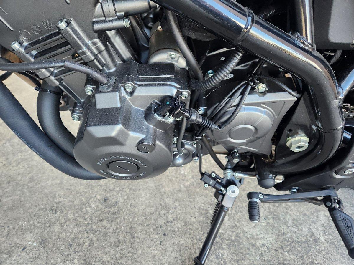 2024 HARLEY-DAVIDSON HD350-10 H-DX X350 CRUISER