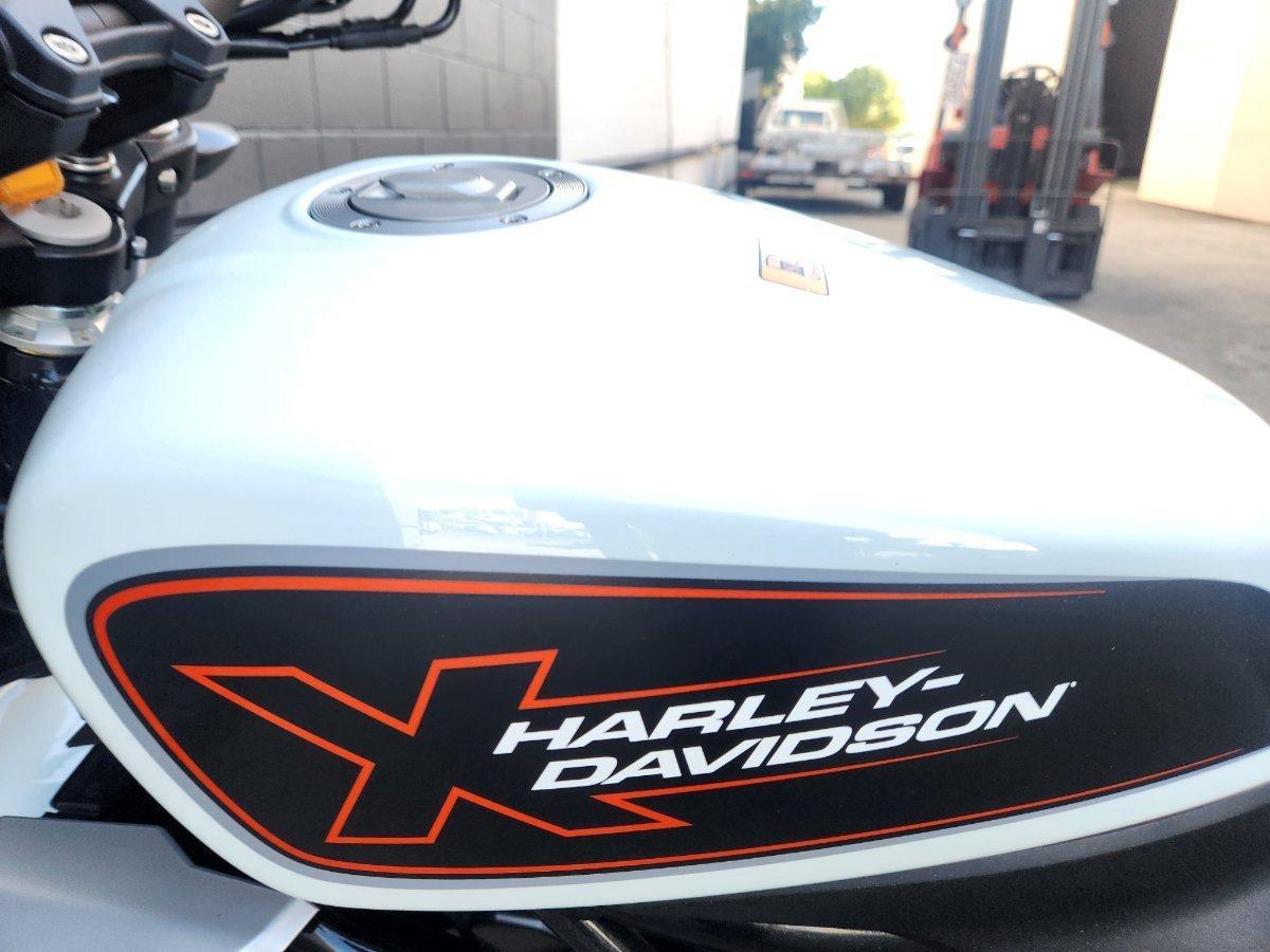 2024 HARLEY-DAVIDSON HD350-10 H-DX X350 CRUISER
