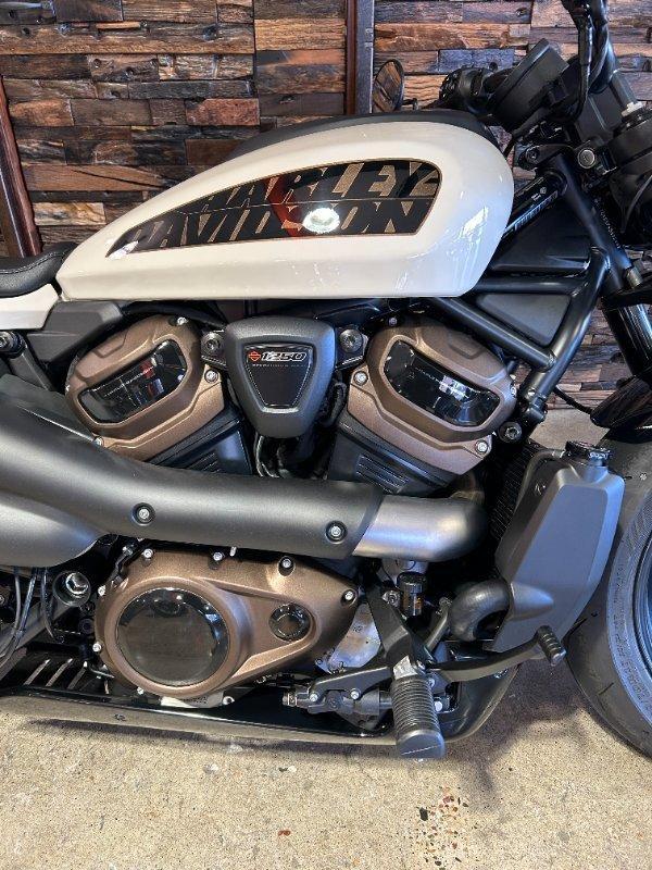 2023 HARLEY-DAVIDSON RH1250S SPORTSTER S CRUISER