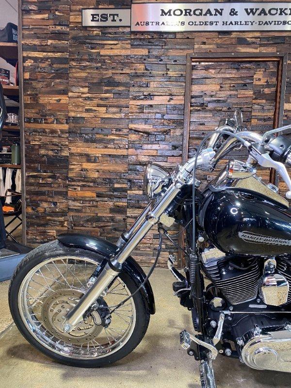 2014 HARLEY-DAVIDSON FXST SOFTAIL STANDARD CRUISER