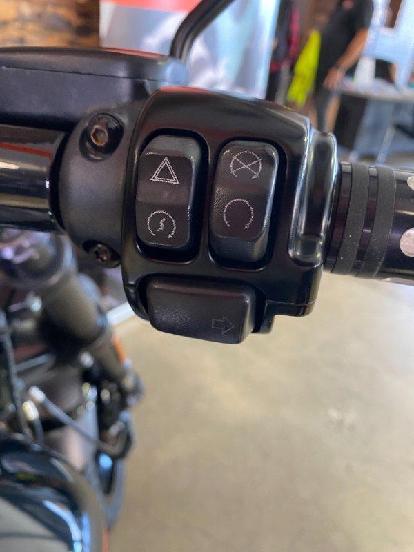 2019 HARLEY-DAVIDSON FXDRS FXDR (114) CRUISER