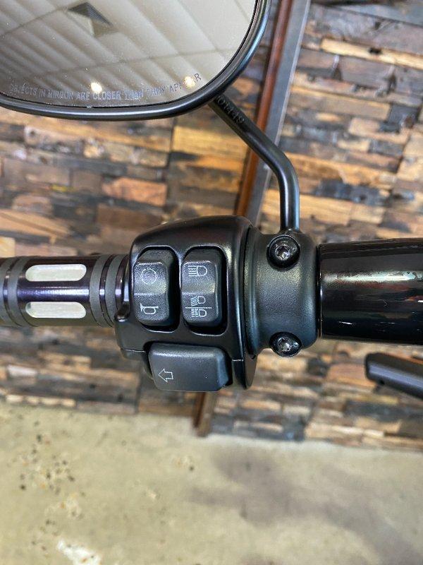 2019 HARLEY-DAVIDSON FXDRS FXDR (114) CRUISER
