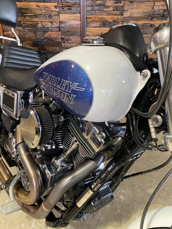 2015 HARLEY-DAVIDSON FXDL LOW RIDER CRUISER