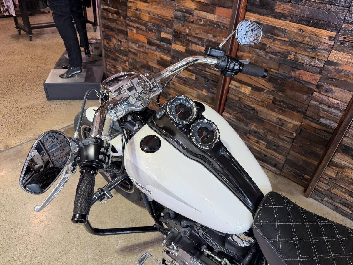 2018 HARLEY-DAVIDSON FXLR LOW RIDER (107) CRUISER