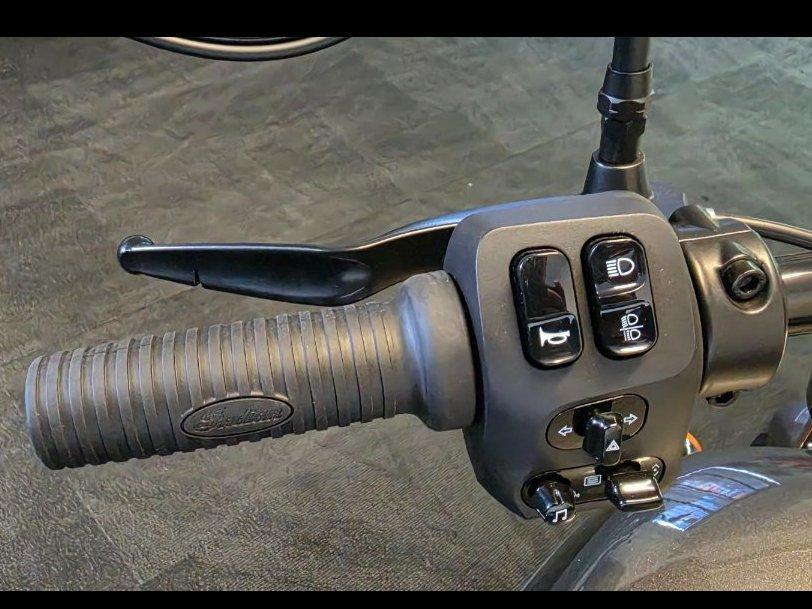 2025 INDIAN CHIEF DARK HORSE CRUISER