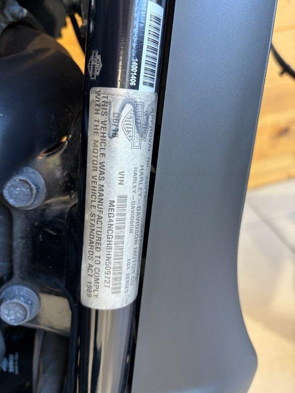 2017 HARLEY-DAVIDSON XG750A STREET ROD CRUISER