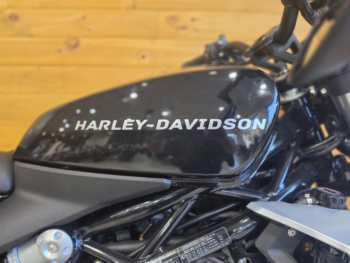 2024 HARLEY-DAVIDSON HD350-10 H-DX X350 CRUISER
