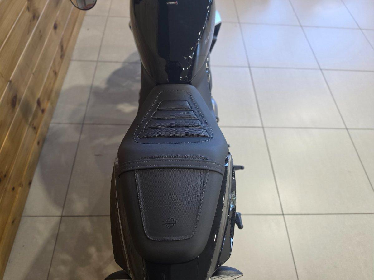 2024 HARLEY-DAVIDSON HD350-10 H-DX X350 CRUISER