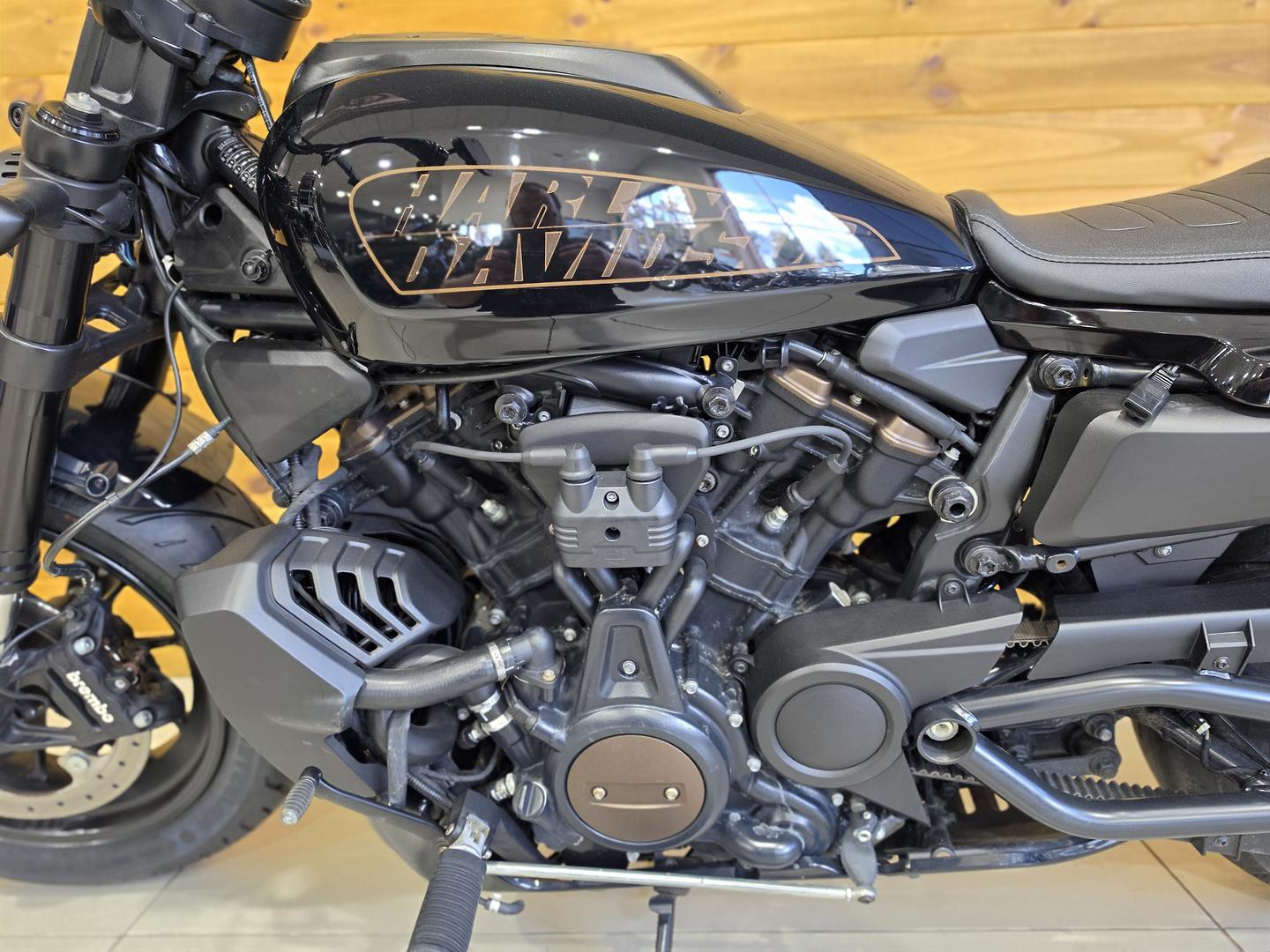 2021 HARLEY-DAVIDSON RH1250S SPORTSTER S CRUISER