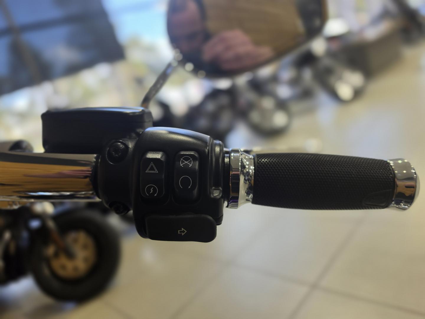 2022 HARLEY-DAVIDSON FLFBS FAT BOY (114) CRUISER